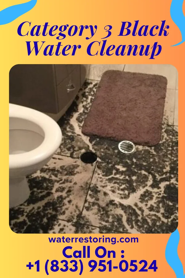 Category 3 Black Water Cleanup in Dickson City, PA