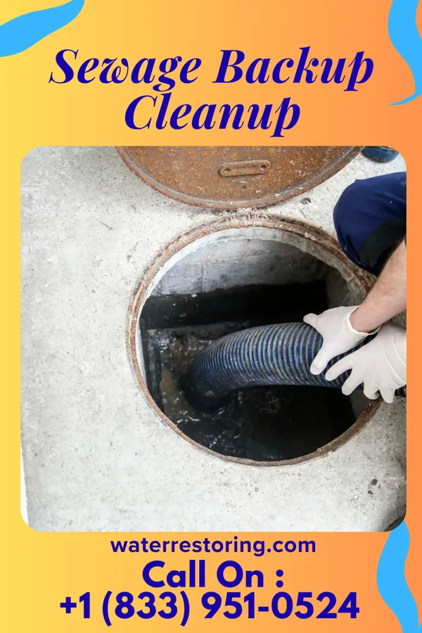 Sewage Backup Cleanup in Dickson City, PA