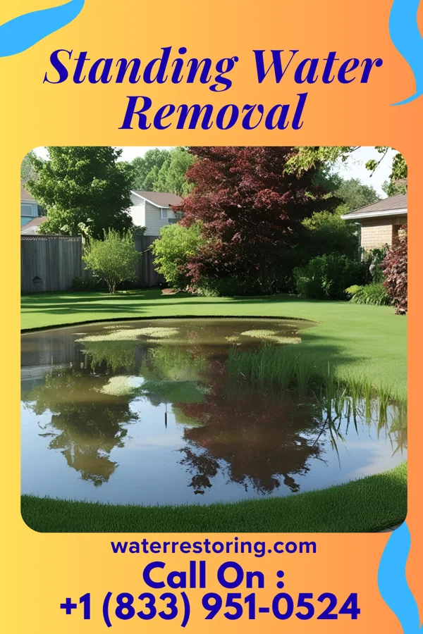 Standing Water Removal in Dickson City, PA